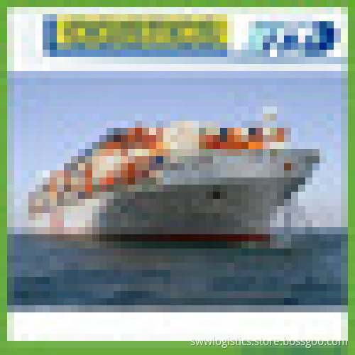 FCL/LCL Sea Shipping Agent Container Forwarder From China to Indonesia